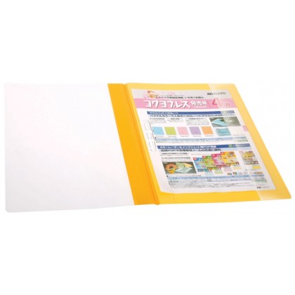 CBE A4 PVC MANAGEMENT FILE 807A